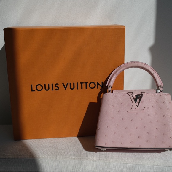 Louis Vuitton Pink Mini Capucine - Picture 2 of 15